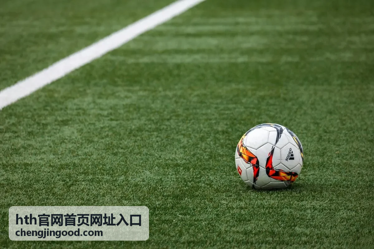 hth官网首页网址入口的地址核对示意图