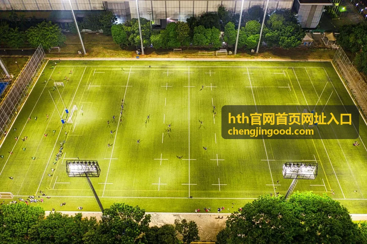 hth官网首页网址入口访问流程说明配图