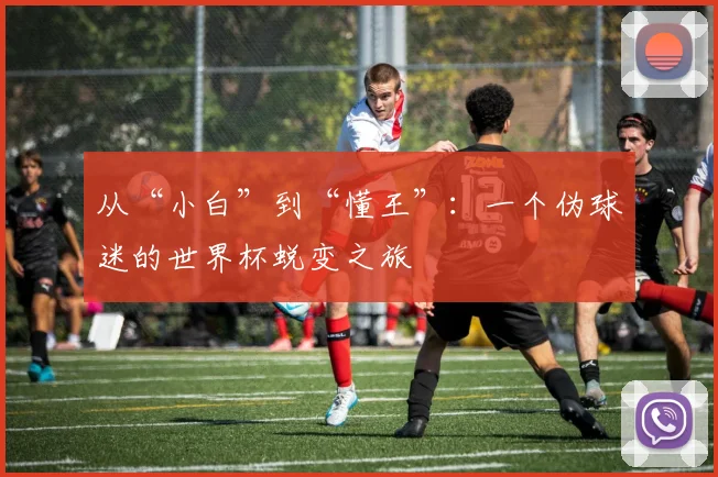 从“小白”到“懂王”：一个伪球迷的世界杯蜕变之旅