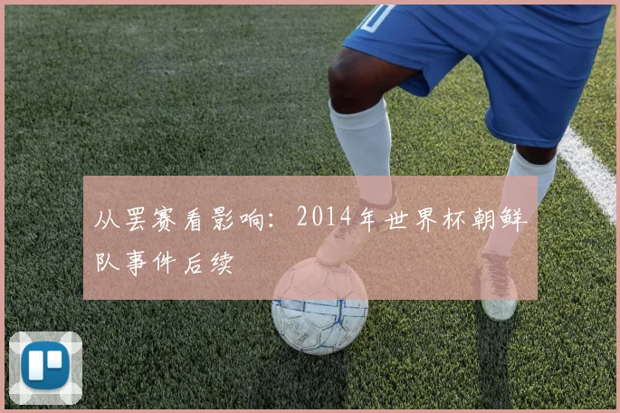 从罢赛看影响：2014年世界杯朝鲜队事件后续