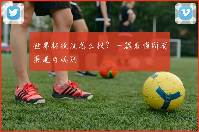世界杯投注怎么投？一篇看懂所有渠道与规则