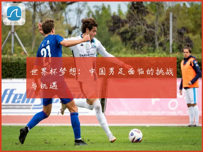 世界杯梦想：中国男足面临的挑战与机遇